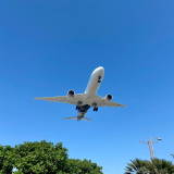 Airplane Landing View Point