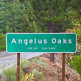 Angelus Oaks