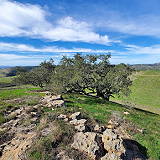 Los Flores Ranch Park