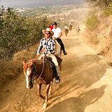 Los Angeles Horseback Riding