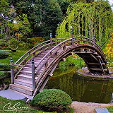 The Huntington Japanese Garden