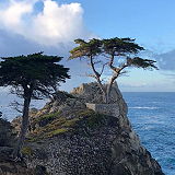 Cypress Point Lookout