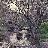 Vasco Caves Regional Preserve