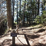 Blowhole Trail