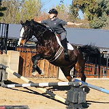 Prestige Equestrians