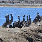 San Diego National Wildlife Refuge