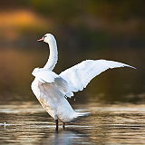 Willow Creek Recreation Area