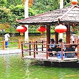 Tai Tong Organic Ecopark