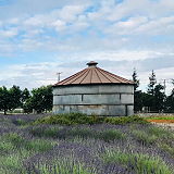 Pageo Lavender Farm