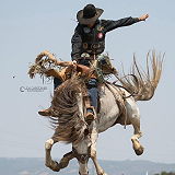 Gilroy Rodeo