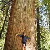Bear Creek Redwoods Preserve