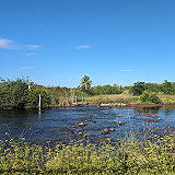 Southern Glades Wildlife Area