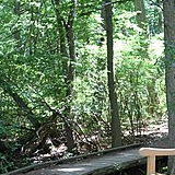 Greenbelt Nature Center