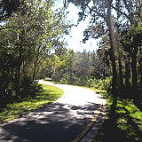 Upper Tampa Bay Park