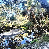 Myakkahatchee Creek Environmental Park