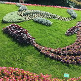 Gothenburg Botanical Garden