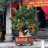 Den Co Chin Gieng