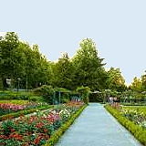Bern Rose Garden