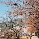Jinhae Park