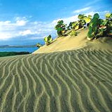 Dunes of Bani