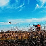 Garcia's Hunting Preserves