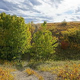 Nose Hill Park