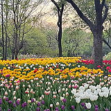 Seoul Forest Park