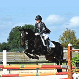 Rocking Horse Stables