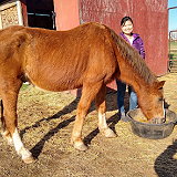 Slice O'Heaven Ranch