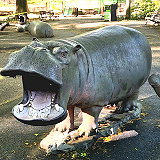 Hippo Playground