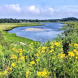 Sapowet Marsh