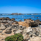 Bird Rock Vista Point