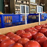 Nana and Papa's Country Market