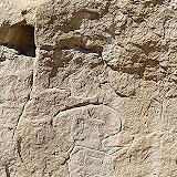 White Mountain Petroglyphs