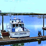 Ilwaco