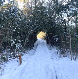 James Farm Ecological Preserve
