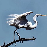 Little Assawoman Bay