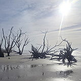 Botany Bay