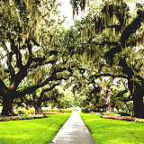 Garden City