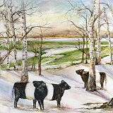 Shirley Bell Designs