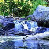 Wildcat Conservation Area