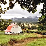San Juan Island