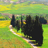 Nabatieh Governorate