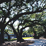 Berkeley County